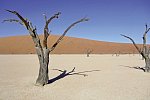 Best of Namibia Superior