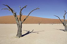 Best of Namibia Superior - Dead Vlei