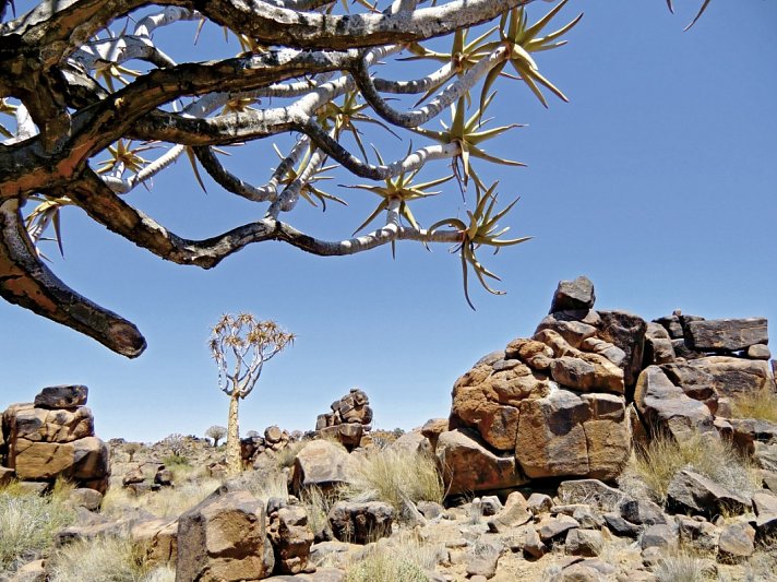 Best of Namibia Superior