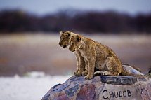 Best of Namibia Superior