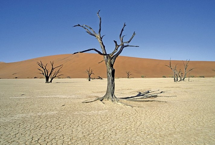Sensation Canyons und Wüsten Superior