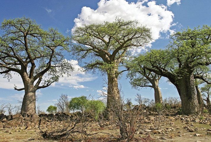 Sensation Canyons und Wüsten Standard - Kalahari Wüste