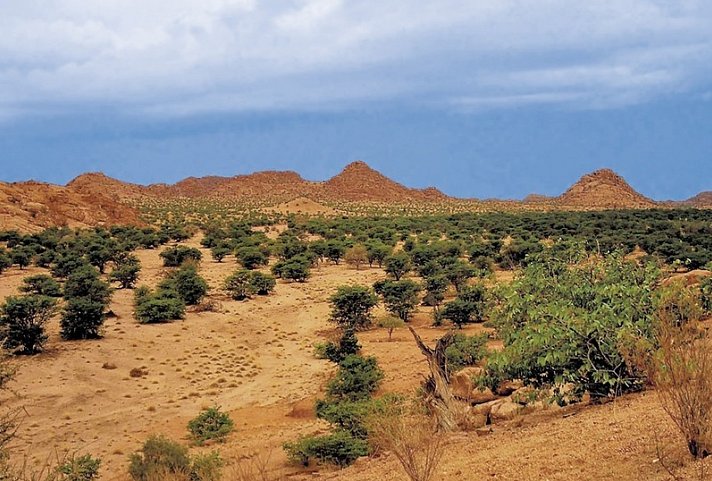 Namibia Kaleidoskop Standard