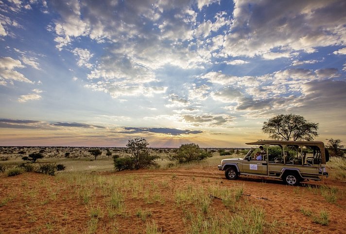 Gondwana Collection: Bilderbuch Namibia - Kalahari