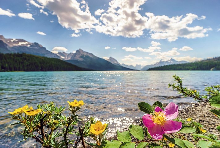 Im Land der Berge und Seen - Jasper Nationalpark