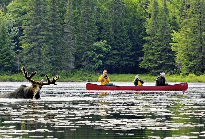 Eastern Wonders - Algonquin Provincial Park