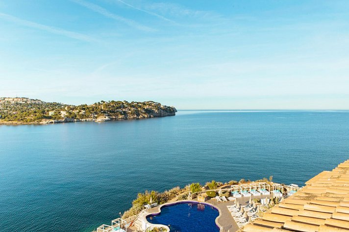 Sentido Fido Punta del Mar