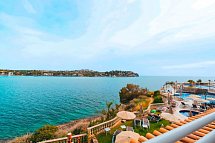Sentido Fido Punta del Mar