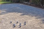 Mariant Park