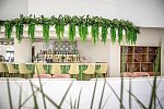 Majestic Elegance Costa Mujeres