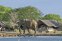 Severin Sea Lodge