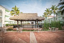 Gran Ventana Beach Resort - Hotelbar