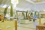 Grand Palladium Palace Resort & Spa