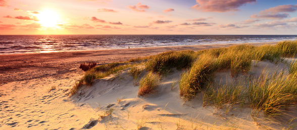 Hotel Noordwijk aan Zee günstig buchen | REWE Reisen